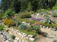 permaculture garden