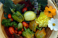 permaculture garden