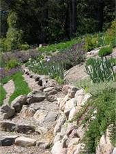permaculture garden